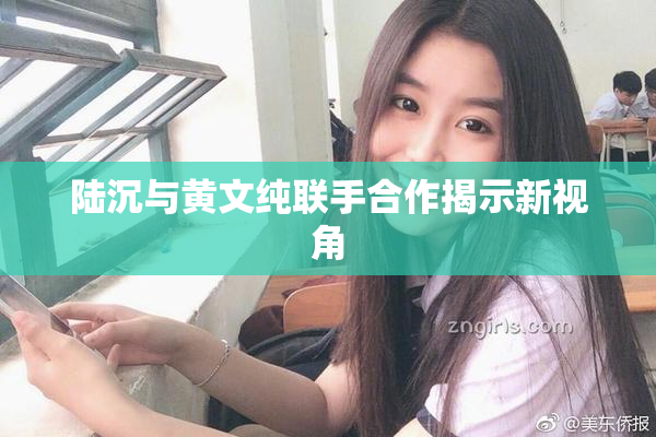 陆沉与黄文纯联手合作揭示新视角
