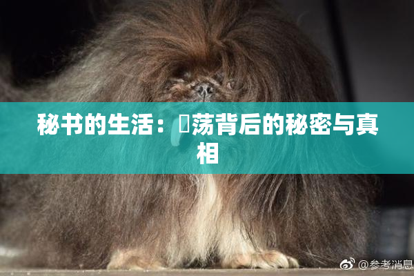 秘书的生活：婬荡背后的秘密与真相