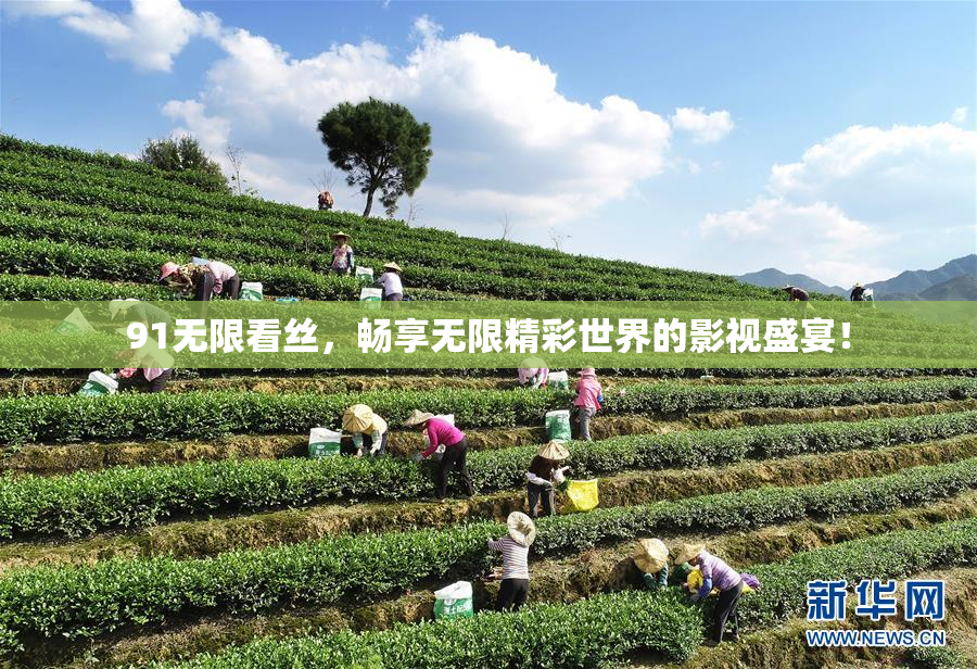 91无限看丝，畅享无限精彩世界的影视盛宴！