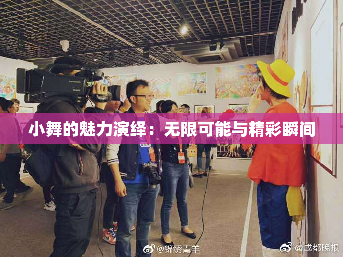 小舞的魅力演绎：无限可能与精彩瞬间