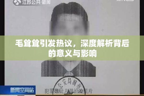 毛耸耸引发热议，深度解析背后的意义与影响