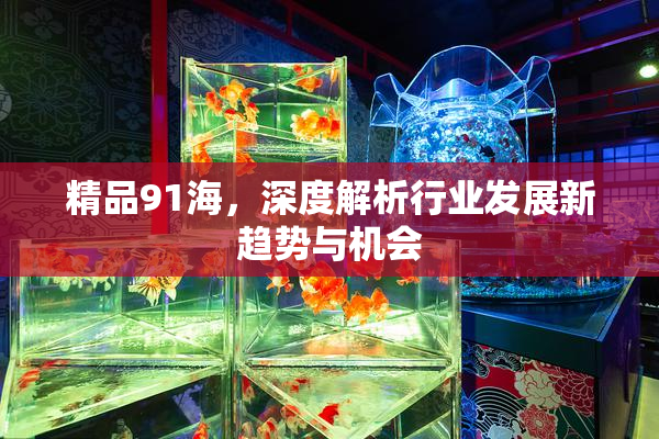 精品91海，深度解析行业发展新趋势与机会