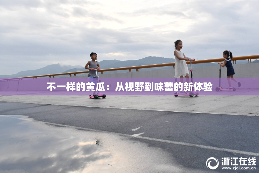 不一样的黄瓜：从视野到味蕾的新体验