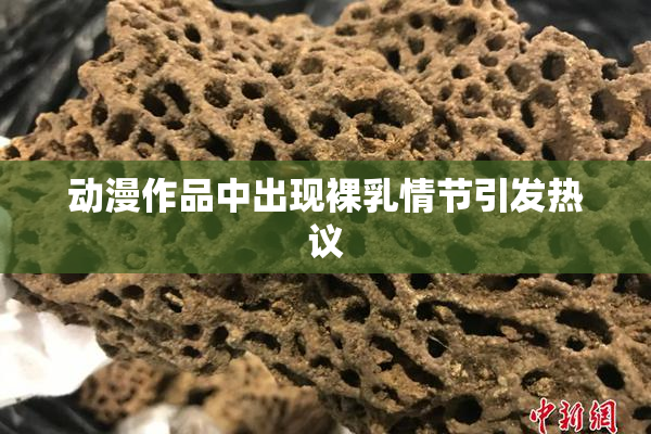 动漫作品中出现裸乳情节引发热议