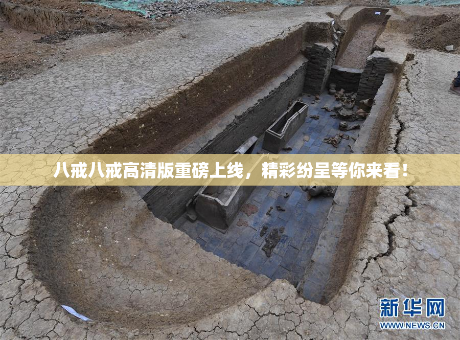 八戒八戒高清版重磅上线，精彩纷呈等你来看！