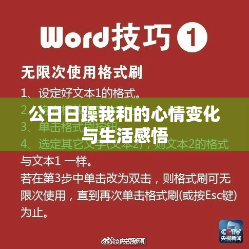 公日日躁我和的心情变化与生活感悟
