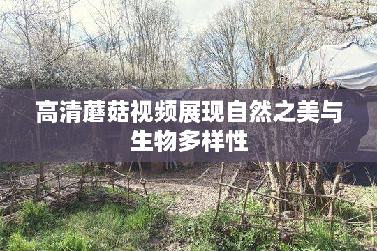 高清蘑菇视频展现自然之美与生物多样性