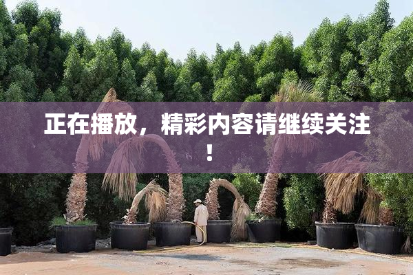 正在播放，精彩内容请继续关注！