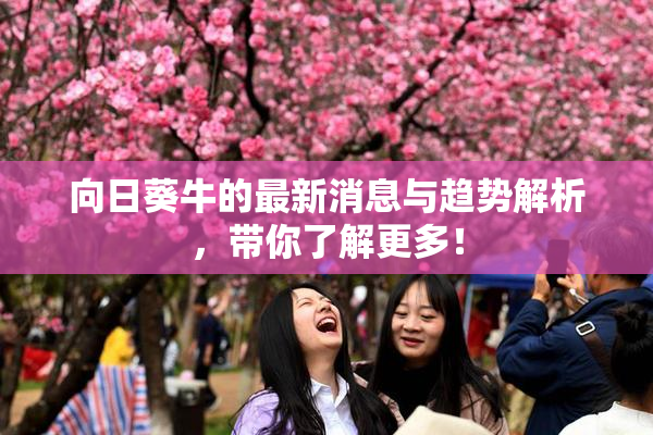 向日葵牛的最新消息与趋势解析，带你了解更多！