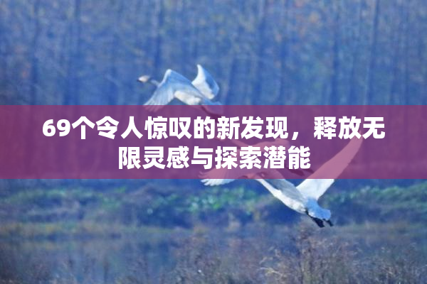 69个令人惊叹的新发现，释放无限灵感与探索潜能