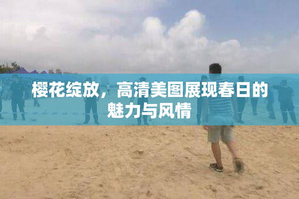 樱花绽放，高清美图展现春日的魅力与风情