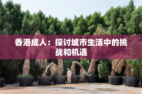 香港成人：探讨城市生活中的挑战和机遇