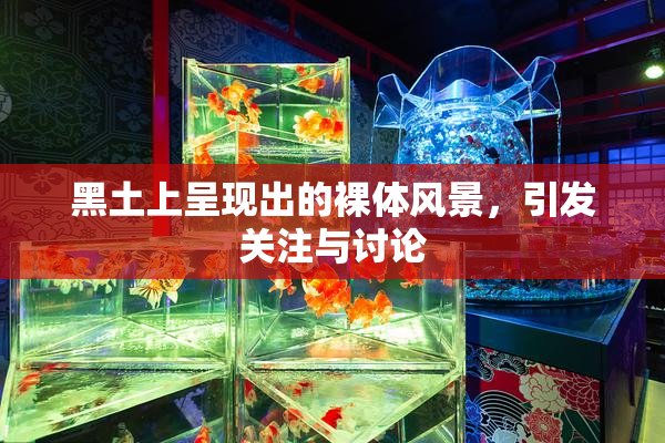 黑土上呈现出的裸体风景，引发关注与讨论