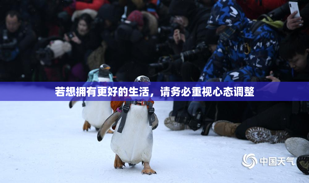 若想拥有更好的生活，请务必重视心态调整