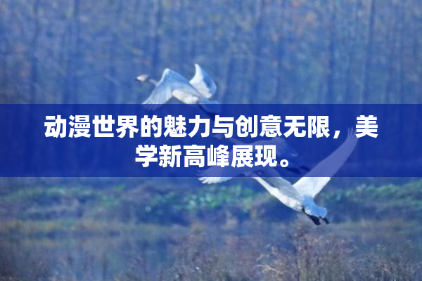 动漫世界的魅力与创意无限，美学新高峰展现。