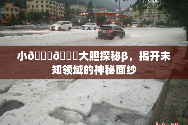小🐔🐔大胆探秘β，揭开未知领域的神秘面纱