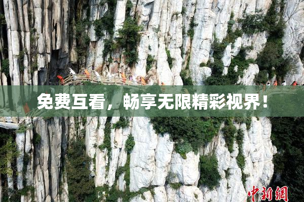 免费互看，畅享无限精彩视界！