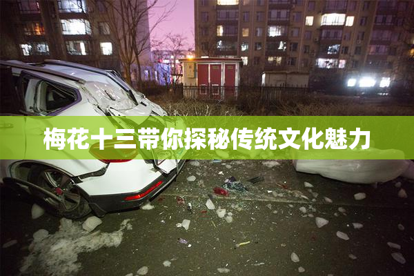 梅花十三带你探秘传统文化魅力