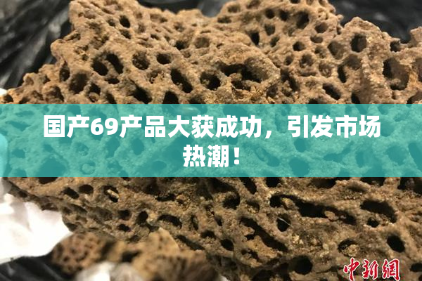 国产69产品大获成功，引发市场热潮！