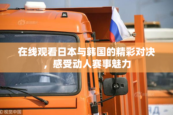 在线观看日本与韩国的精彩对决，感受动人赛事魅力