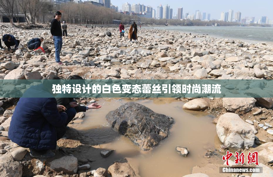 独特设计的白色变态蕾丝引领时尚潮流
