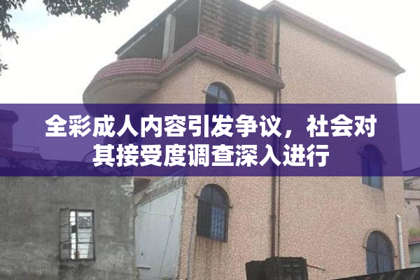 全彩成人内容引发争议，社会对其接受度调查深入进行