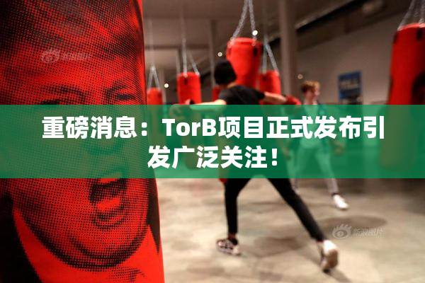 重磅消息：TorB项目正式发布引发广泛关注！