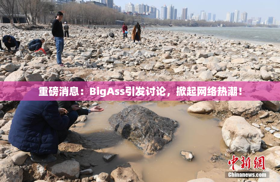 重磅消息：BigAss引发讨论，掀起网络热潮！