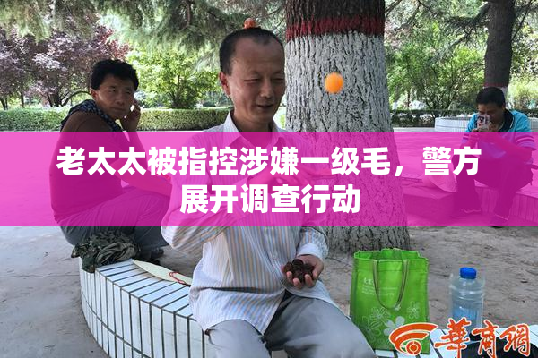 老太太被指控涉嫌一级毛，警方展开调查行动