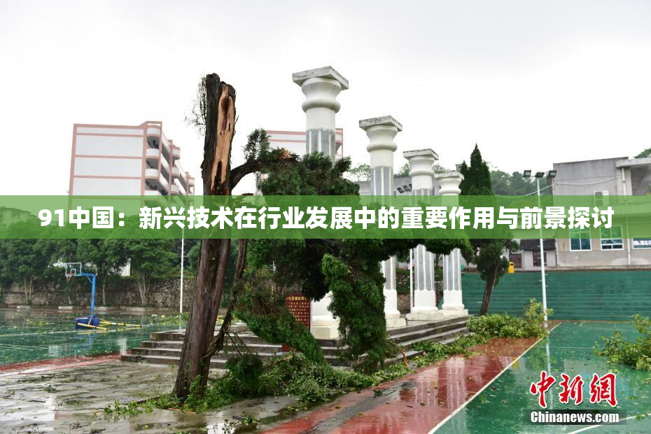 91中国：新兴技术在行业发展中的重要作用与前景探讨