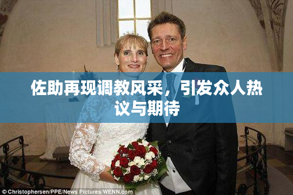 佐助再现调教风采，引发众人热议与期待
