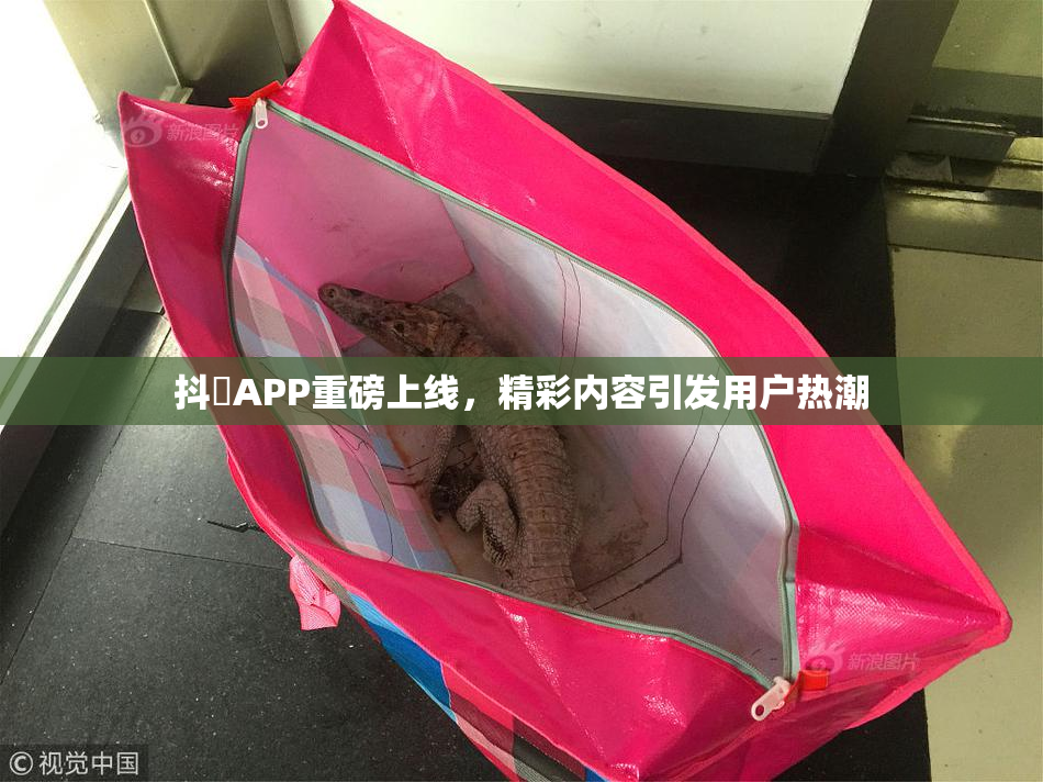抖抈APP重磅上线，精彩内容引发用户热潮
