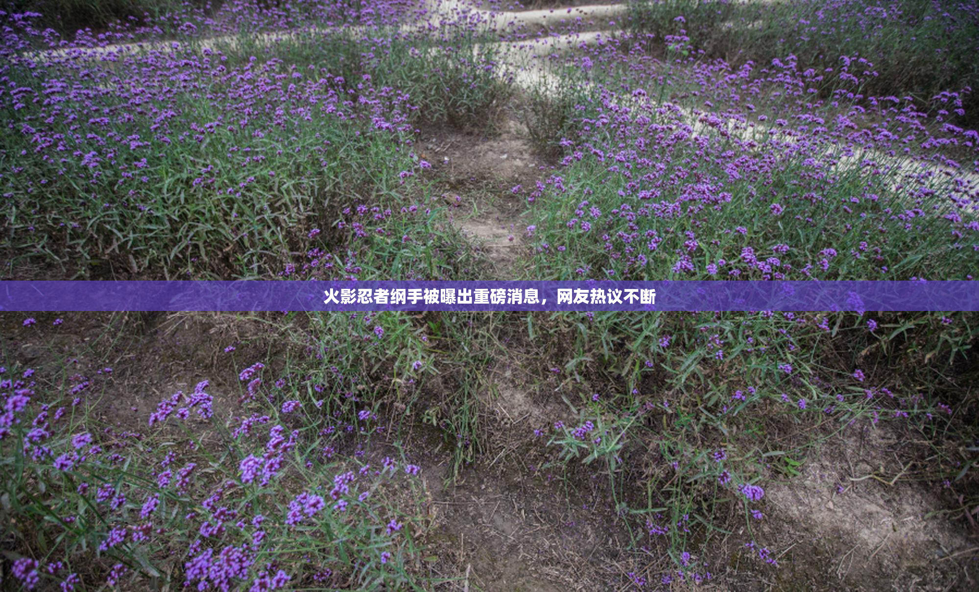 火影忍者纲手被曝出重磅消息，网友热议不断