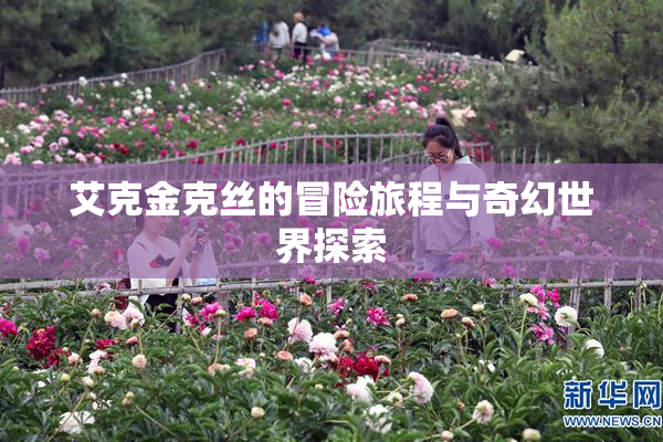 艾克金克丝的冒险旅程与奇幻世界探索