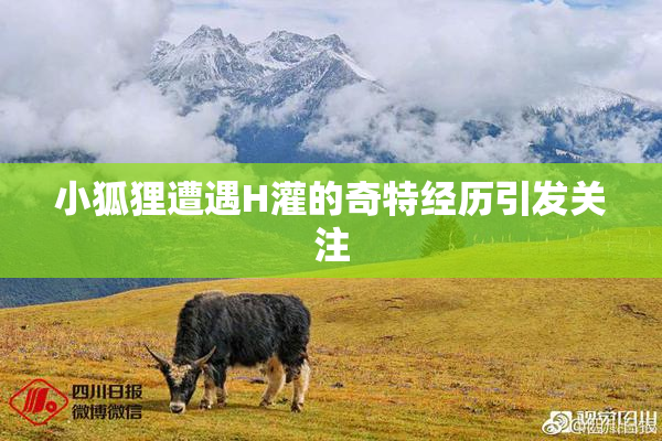 小狐狸遭遇H灌的奇特经历引发关注