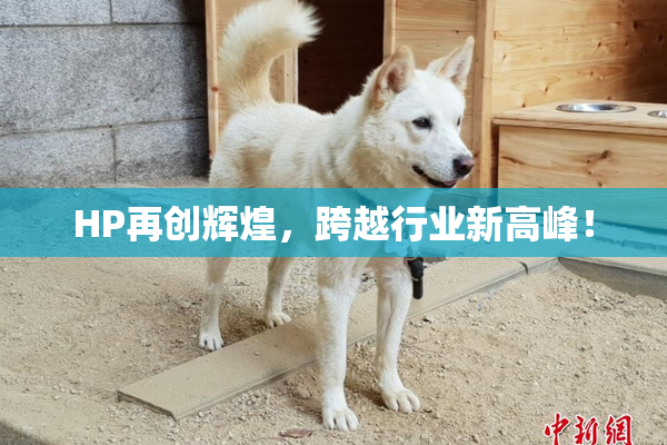 HP再创辉煌，跨越行业新高峰！