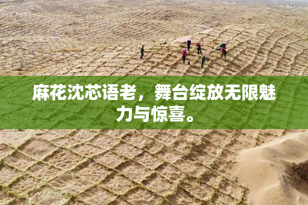 麻花沈芯语老，舞台绽放无限魅力与惊喜。