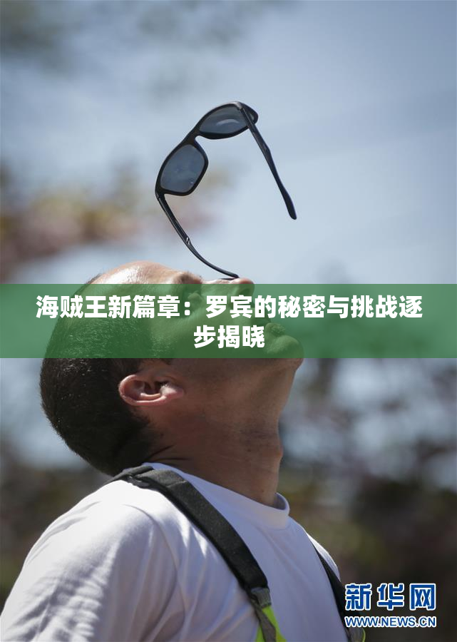 海贼王新篇章：罗宾的秘密与挑战逐步揭晓