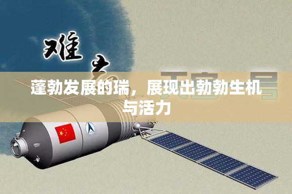 蓬勃发展的瑞，展现出勃勃生机与活力