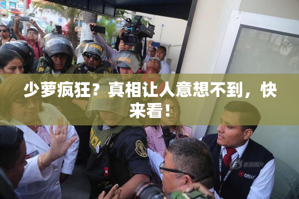少萝疯狂？真相让人意想不到，快来看！
