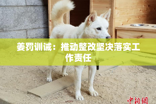 姜罚训诫：推动整改坚决落实工作责任