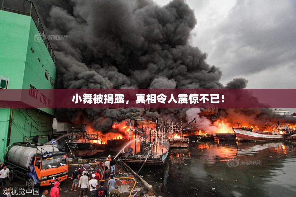 小舞被揭露，真相令人震惊不已！