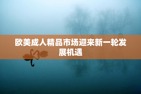 欧美成人精品市场迎来新一轮发展机遇