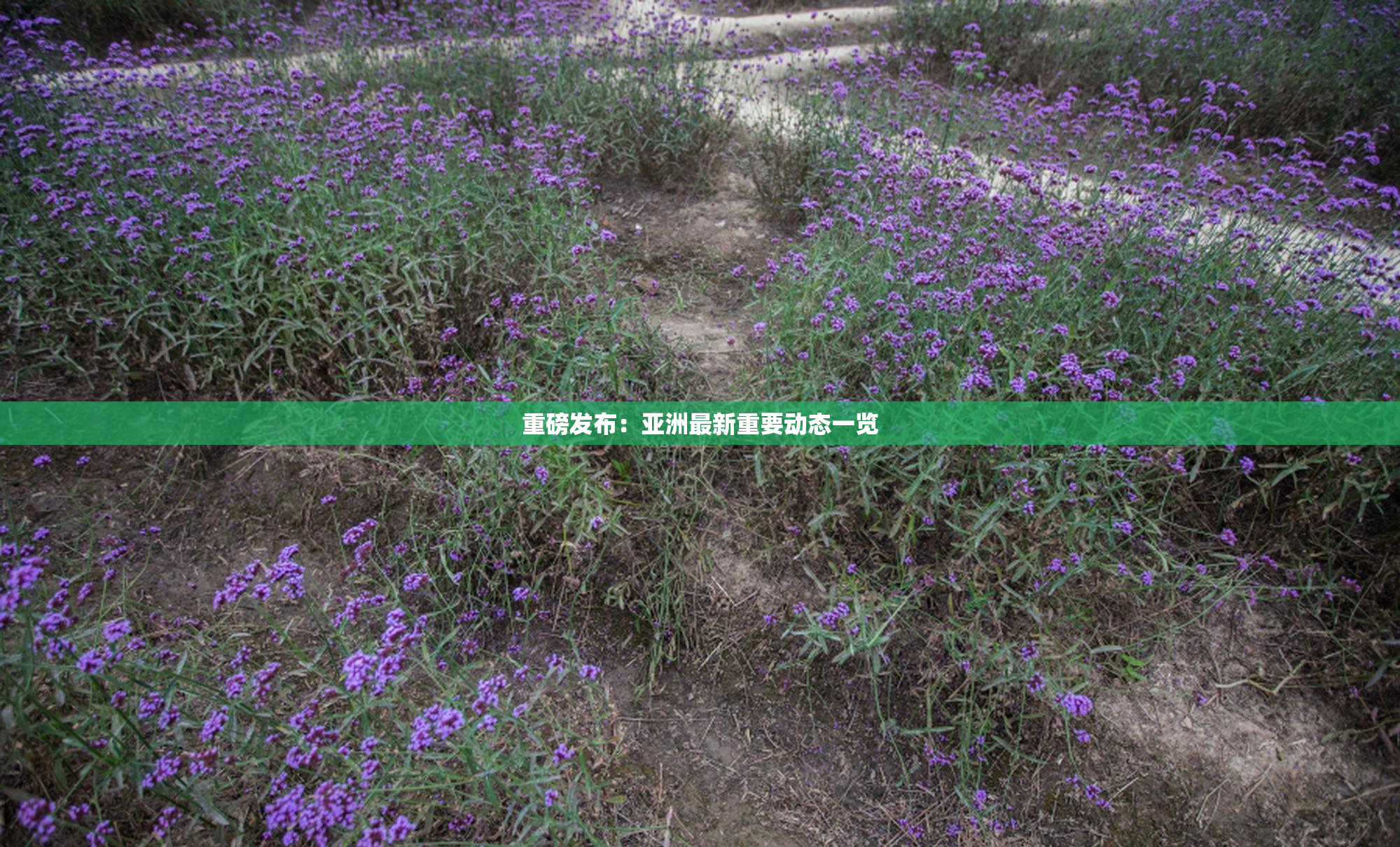 重磅发布：亚洲最新重要动态一览