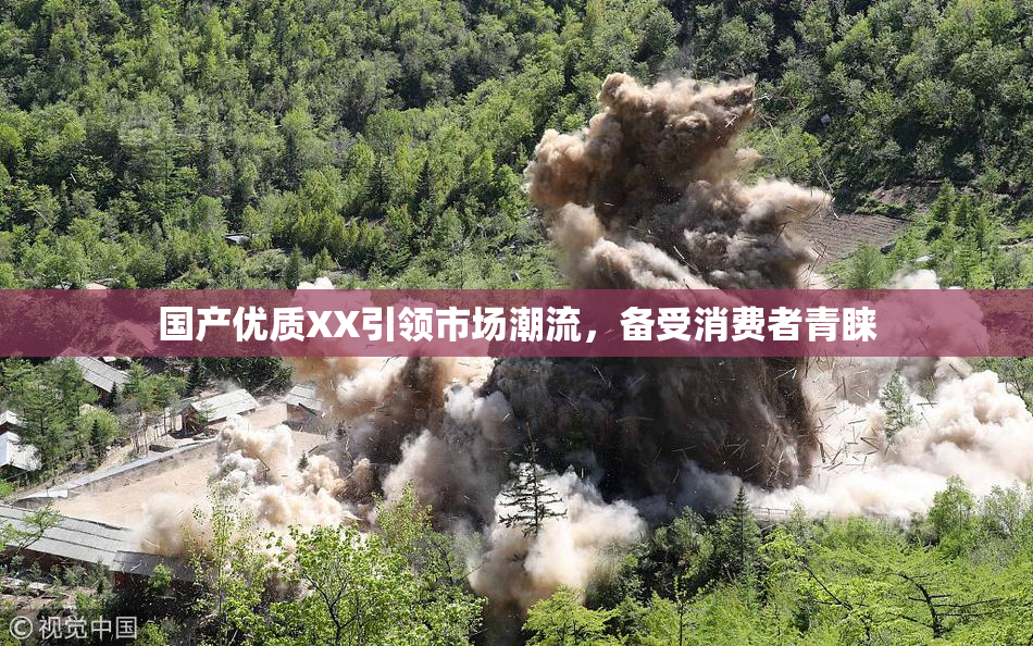 国产优质XX引领市场潮流，备受消费者青睐