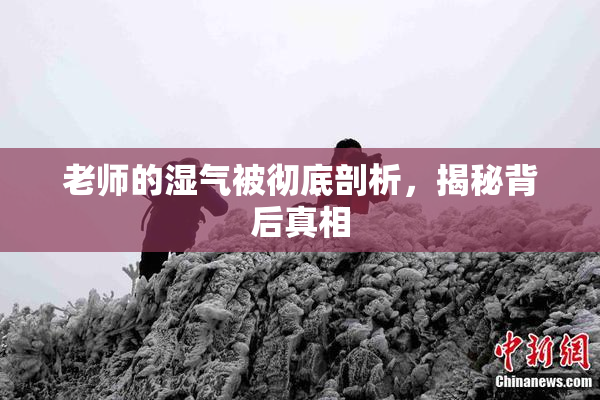 老师的湿气被彻底剖析，揭秘背后真相