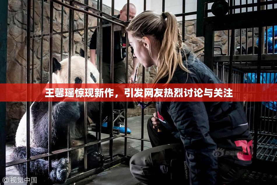 王馨瑶惊现新作，引发网友热烈讨论与关注