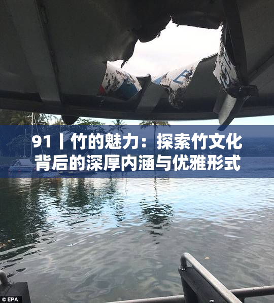 91丨竹的魅力：探索竹文化背后的深厚内涵与优雅形式