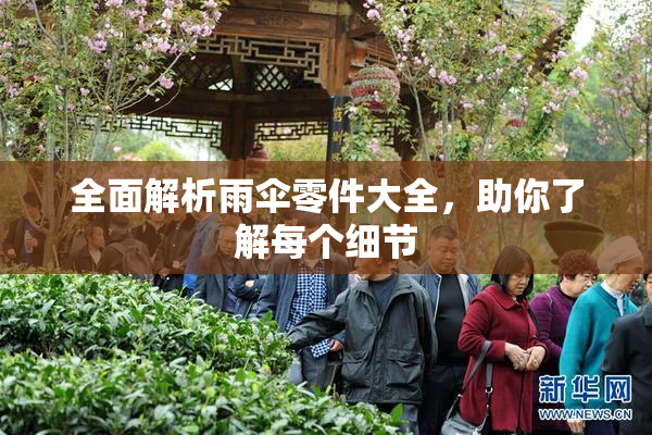 全面解析雨伞零件大全，助你了解每个细节