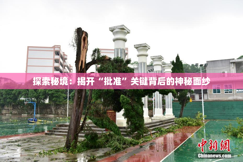 探索秘境：揭开“批准”关键背后的神秘面纱